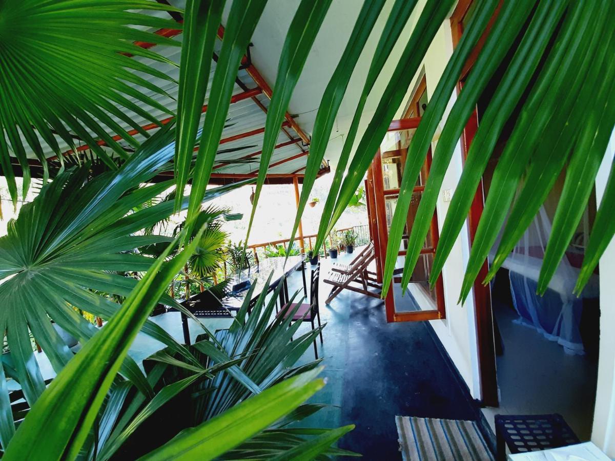Serenity Homestay Ella Eksteriør bilde