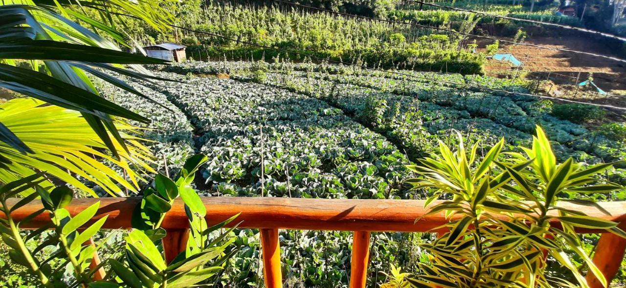Serenity Homestay Ella Eksteriør bilde